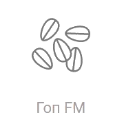 Радио Рекорд Гоп FM